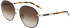 Longchamp LO171S sunglasses in Gold/Black