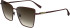 Longchamp LO172S sunglasses in Burgundy