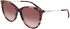 Longchamp LO746S sunglasses in Red Havana