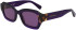Longchamp LO749S sunglasses in Purple/Havana
