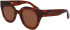 Longchamp LO750S sunglasses in Brown