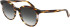 Longchamp LO752S sunglasses in Striped Brown