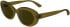 Longchamp LO756S sunglasses in Transparent Brown