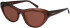 Salvatore Ferragamo SF1103S sunglasses in Transparent Brown