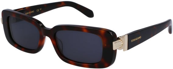 Salvatore Ferragamo SF1105S sunglasses in Tortoise