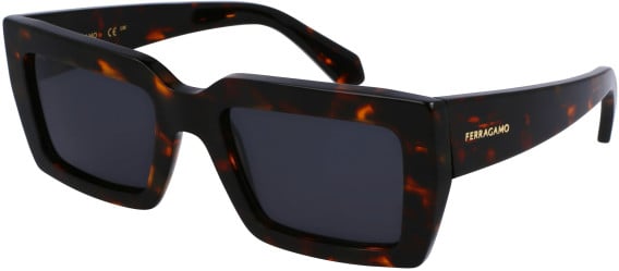 Salvatore Ferragamo SF1108S sunglasses in Dark Tortoise