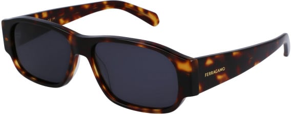 Salvatore Ferragamo SF1109S sunglasses in Dark Tortoise