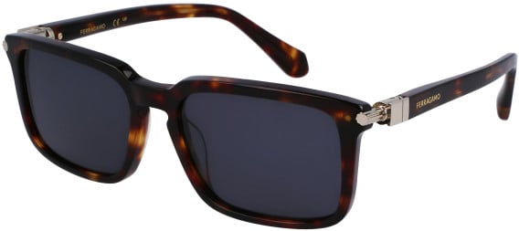 Salvatore Ferragamo SF1110S sunglasses in Dark Tortoise