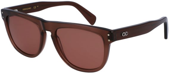 Salvatore Ferragamo SF1111S sunglasses in Transparent Brown
