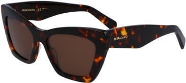 Salvatore Ferragamo SF929SN sunglasses in Dark Tortoise