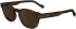 Zeiss ZS23536S sunglasses in Brown Horn