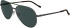 Zeiss ZS24150SP sunglasses in Satin Green/Dark Ruthenium