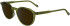 Zeiss ZS24543S sunglasses in Transparent Green