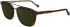 Zeiss ZS24544S sunglasses in Dark Tortoise