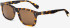 CR7 BD004 sunglasses in Dark Havana