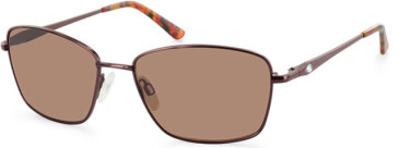 Puccini PCS-305 sunglasses in Burgundy