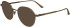 Calvin Klein CK24101-49 sunglasses in Amber Gold