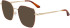 Calvin Klein CK24105 sunglasses in Gold/Burgundy