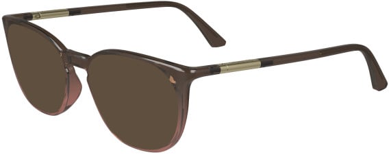 Calvin Klein CK24513-54 sunglasses in Brown/Rose