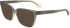 Calvin Klein CK24524 sunglasses in Grey/Beige