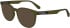 Calvin Klein Jeans CKJ24613 sunglasses in Khaki