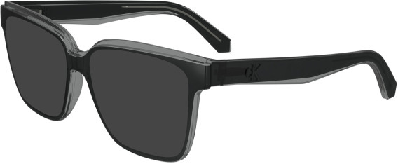 Calvin Klein Jeans CKJ24619 sunglasses in Grey