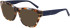 DKNY DK5063 sunglasses in Bone/Ink Tortoise
