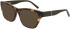 DKNY DK5063 sunglasses in Soft Tokyo Tortoise