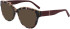 DKNY DK5064 sunglasses in Blush Tortoise
