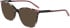 DKNY DK5066 sunglasses in Rose Tortoise