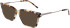 DKNY DK7012 sunglasses in Bone/Ink Tortoise
