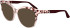 Karl Lagerfeld KL6154 sunglasses in Rose/Marble Rose