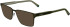 Lacoste L2297 sunglasses in Khaki