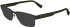 Lacoste L2298-56 sunglasses in Matte Khaki