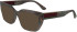 Lacoste L2934 sunglasses in Havana Green