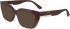 Lacoste L2934 sunglasses in Transparent Burgundy