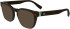 Lacoste L2938 sunglasses in Dark Havana