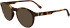 Lacoste L2950 sunglasses in Havana
