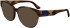 Lacoste L2953 sunglasses in Havana