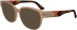 Lacoste L2953 sunglasses in Transparent Caramel