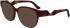 Lacoste L2953 sunglasses in Transparent Burgundy