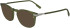 Lacoste L2954 sunglasses in Transparent Khaki