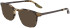Nike NIKE 7171 sunglasses in Khaki Tortoise