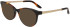 Nike NIKE 7173 sunglasses in Dark Tortoise