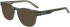 Nike NIKE 7175 sunglasses in Sage/Sand Laminate