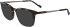 Zeiss ZS23717 sunglasses in Striped Brown/Grey