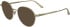 Calvin Klein CK24101-49 sunglasses in Matte Gold