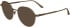 Calvin Klein CK24101-51 sunglasses in Amber Gold
