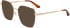 Calvin Klein CK24105 sunglasses in Gold/Burgundy