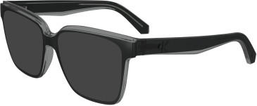 Calvin Klein Jeans CKJ24619 sunglasses in Grey